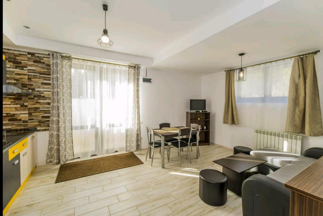 Apartament Andra 波亚纳布拉索夫 外观 照片
