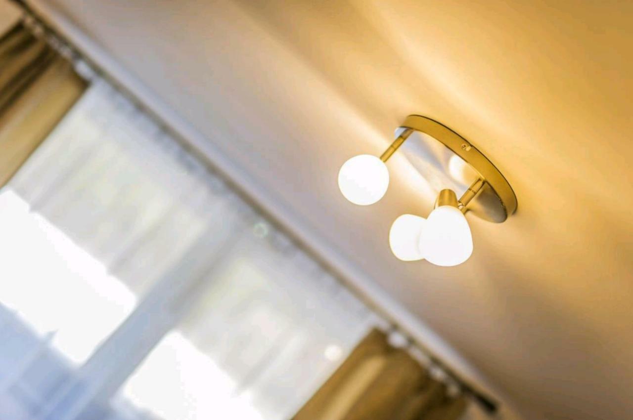 Apartament Andra 波亚纳布拉索夫 外观 照片